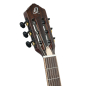 Preview: Ortega RTPDLX-ACA Akazien Burst